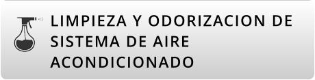 LIMPIEZA Y ODORIZACION DE SISTEMA DE AIRE ACONDICIONADO